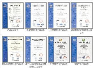 北京认证咨询公司 提供更多便捷服务，助力企业高效取证